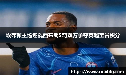 埃弗顿主场迎战西布朗S奇双方争夺英超宝贵积分
