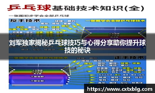 刘军独家揭秘乒乓球技巧与心得分享助你提升球技的秘诀